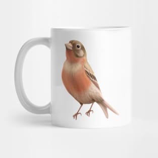 Cute Finch Drawing Mug